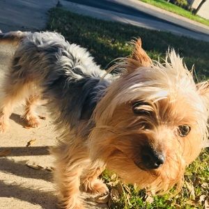 Meet your Posher, Michelle